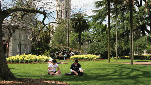 133-university-study-abroad